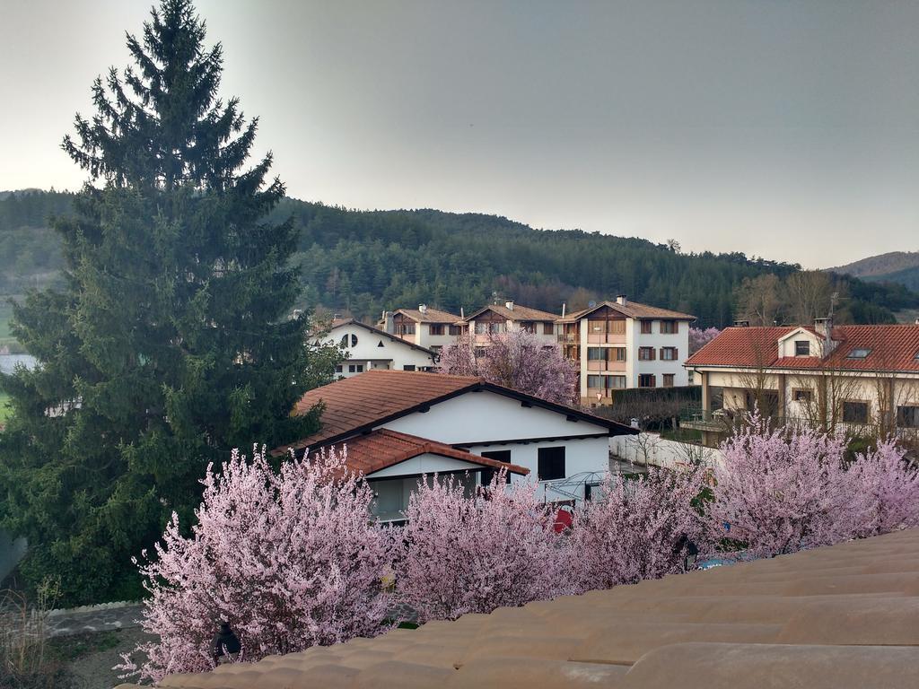 Penzion Casa Tau Larrasoana Exteriér fotografie