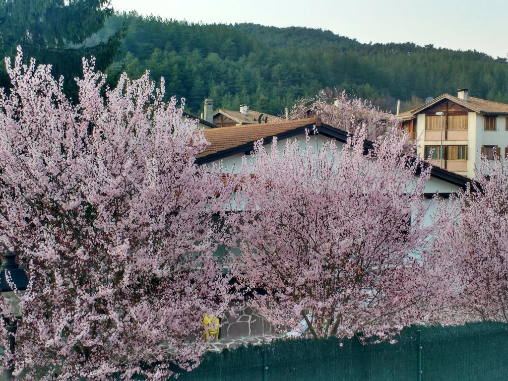 Penzion Casa Tau Larrasoana Exteriér fotografie