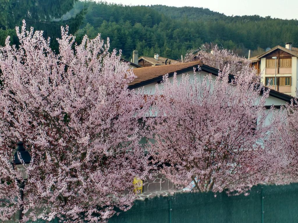 Penzion Casa Tau Larrasoana Exteriér fotografie